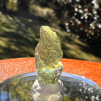 Moldavite 1 gram #2348-Moldavite Life