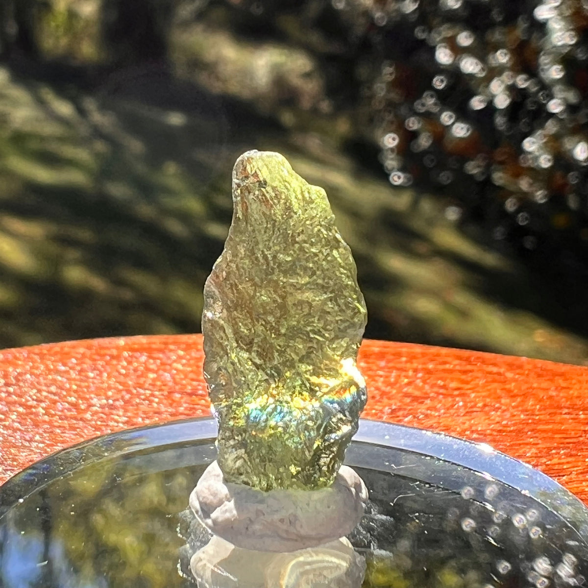 Moldavite 1 gram #2348-Moldavite Life