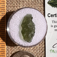 Moldavite 1 gram #2348-Moldavite Life