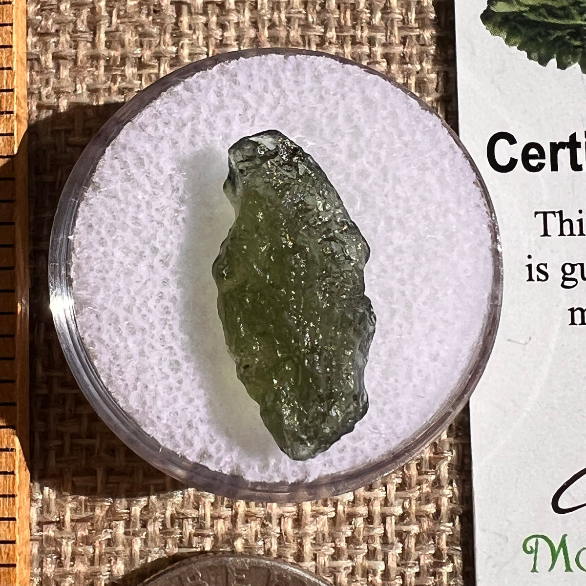 Moldavite 1 gram #2348-Moldavite Life