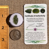 Moldavite 1 gram #2348-Moldavite Life