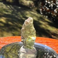 Moldavite 1 gram #2348-Moldavite Life