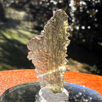 Moldavite 1 gram #2354-Moldavite Life