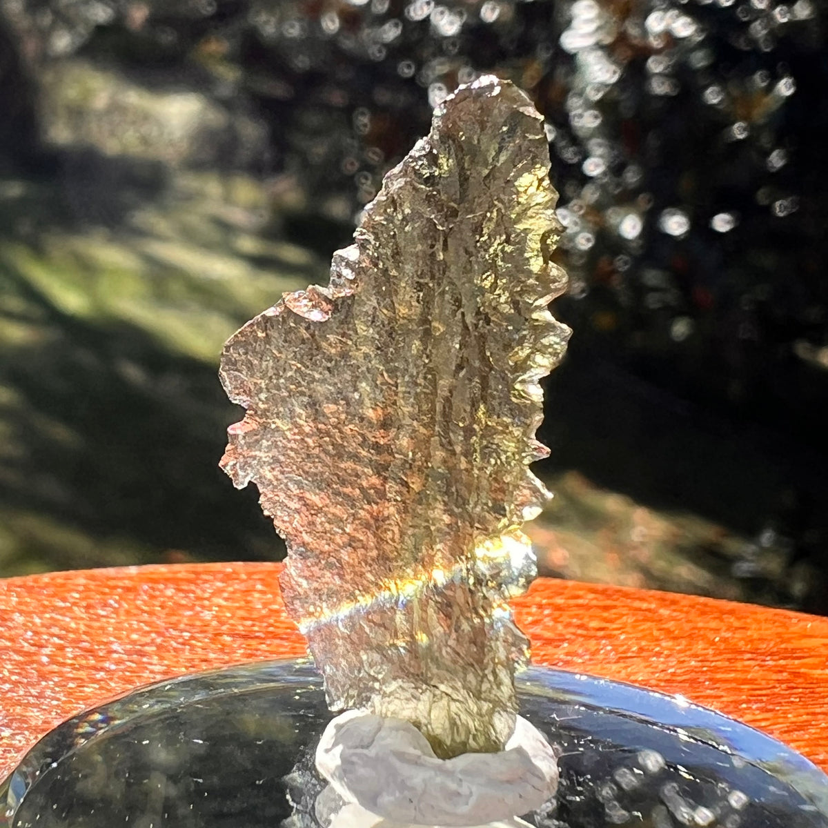 Moldavite 1 gram #2354-Moldavite Life