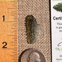 Moldavite 1 gram #2354-Moldavite Life