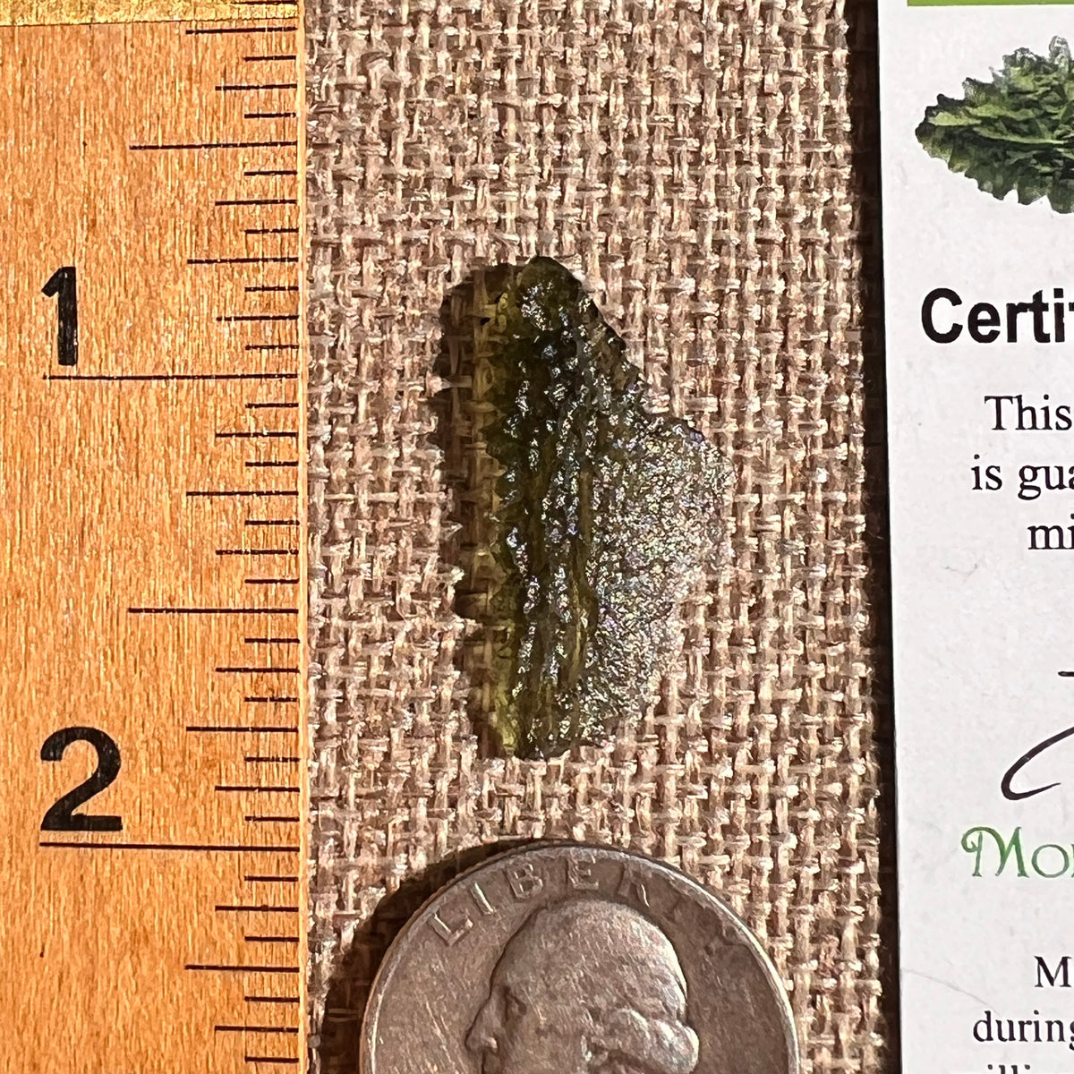 Moldavite 1 gram #2354-Moldavite Life