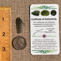 Moldavite 1 gram #2354-Moldavite Life