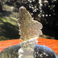 Moldavite 1 gram #2354-Moldavite Life