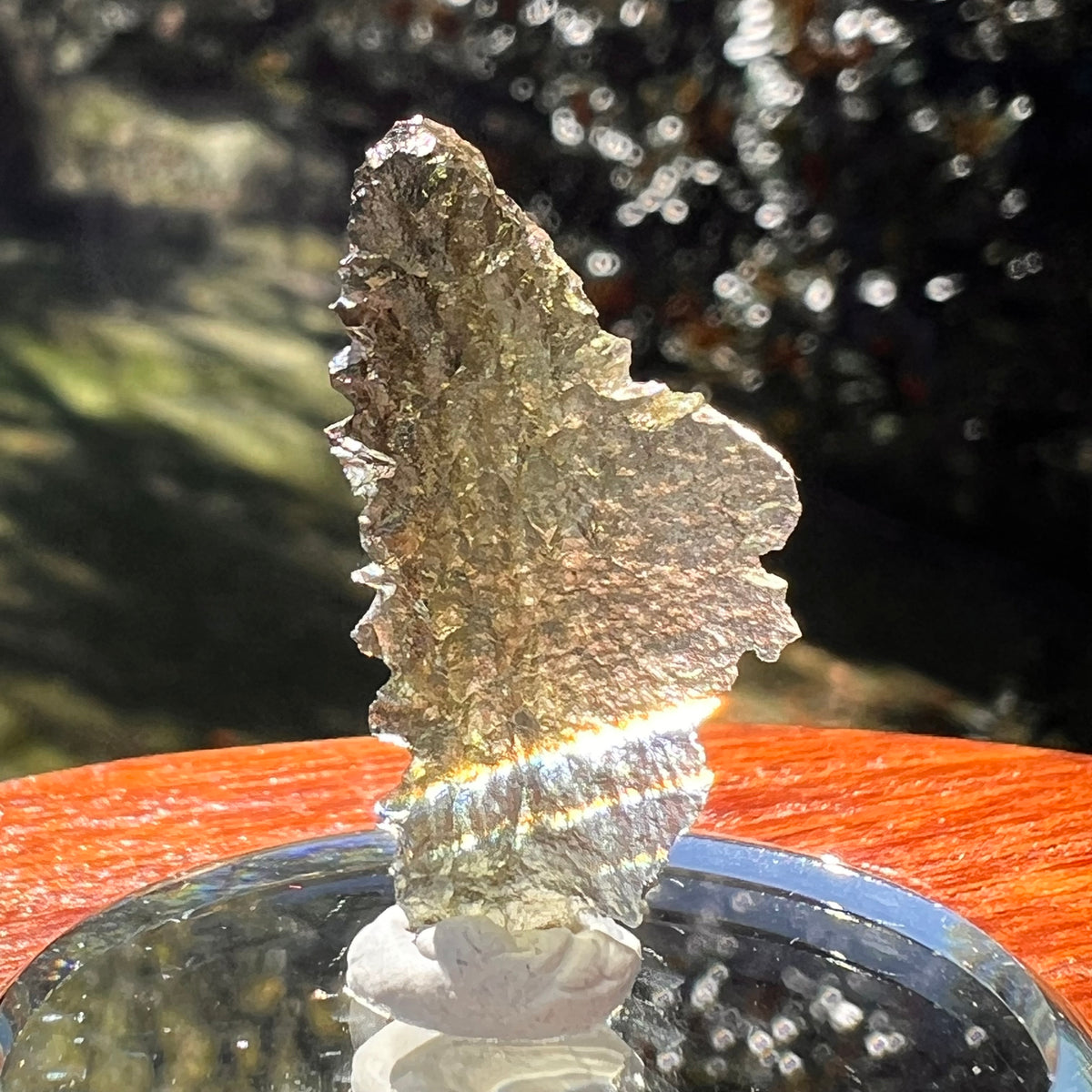 Moldavite 1 gram #2354-Moldavite Life