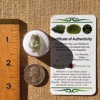 Moldavite 1 gram Natural Hole #2297-Moldavite Life