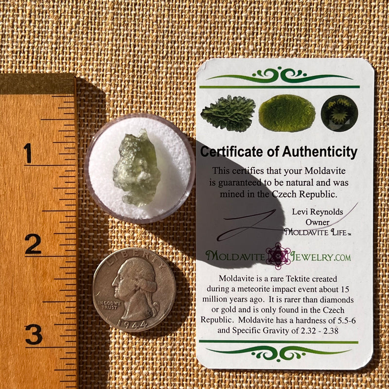 Moldavite 1 gram Natural Hole #2297-Moldavite Life