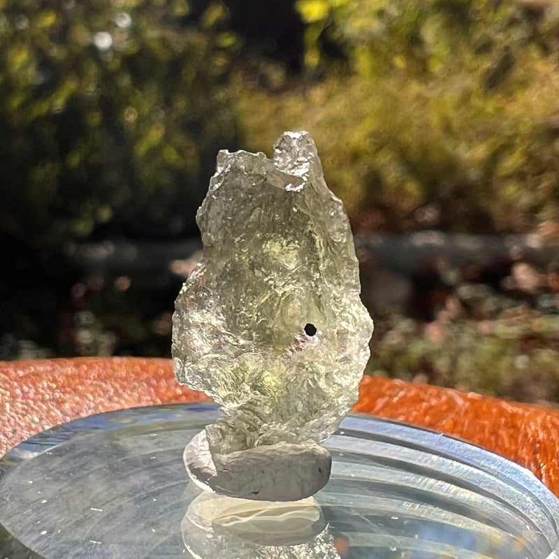 Moldavite 1 gram Natural Hole #2297-Moldavite Life