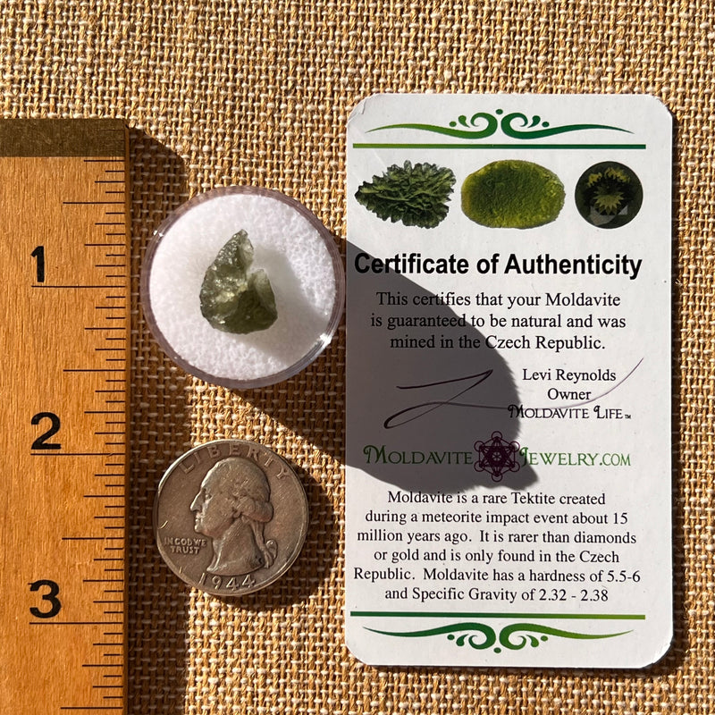 Moldavite 1 gram Natural Hole #2303-Moldavite Life