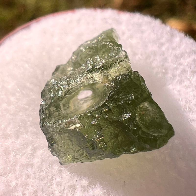 Moldavite 1 gram Natural Hole #2303-Moldavite Life