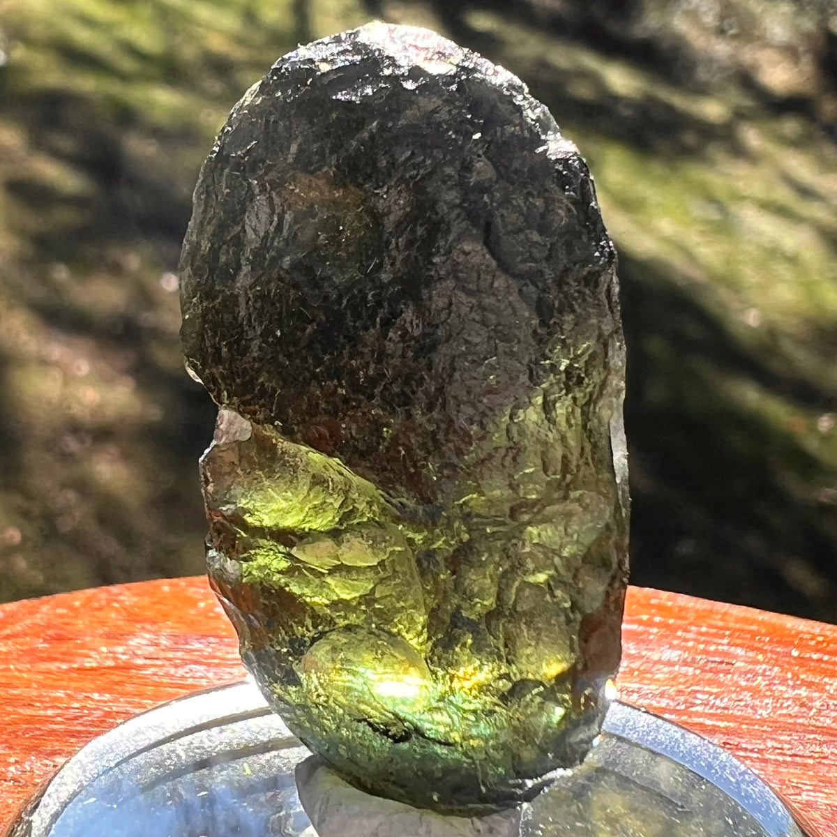 Moldavite 11.7 grams "Large Space Bean" shape #2403-Moldavite Life