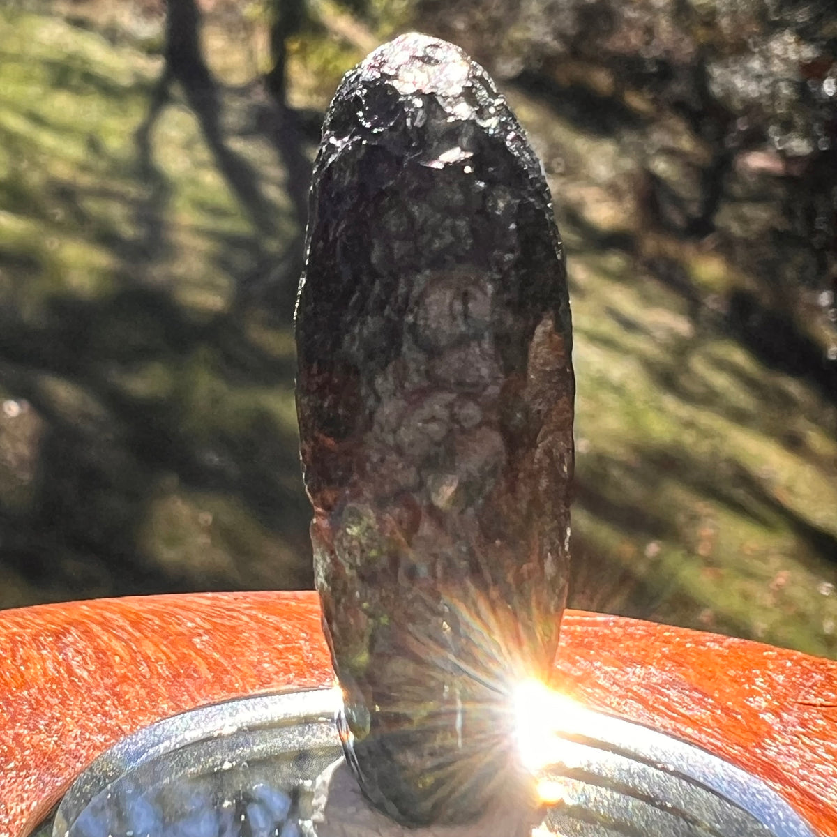 Moldavite 11.7 grams "Large Space Bean" shape #2403-Moldavite Life