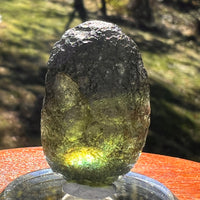 Moldavite 11.7 grams "Large Space Bean" shape #2403-Moldavite Life