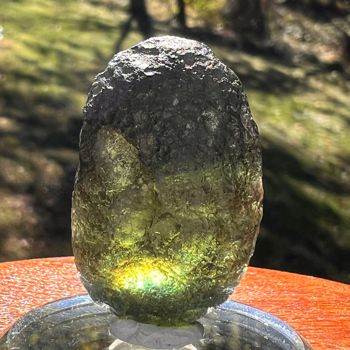 Moldavite 11.7 grams "Large Space Bean" shape #2403-Moldavite Life