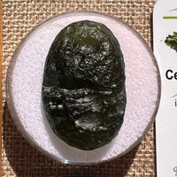 Moldavite 11.7 grams "Large Space Bean" shape #2403-Moldavite Life