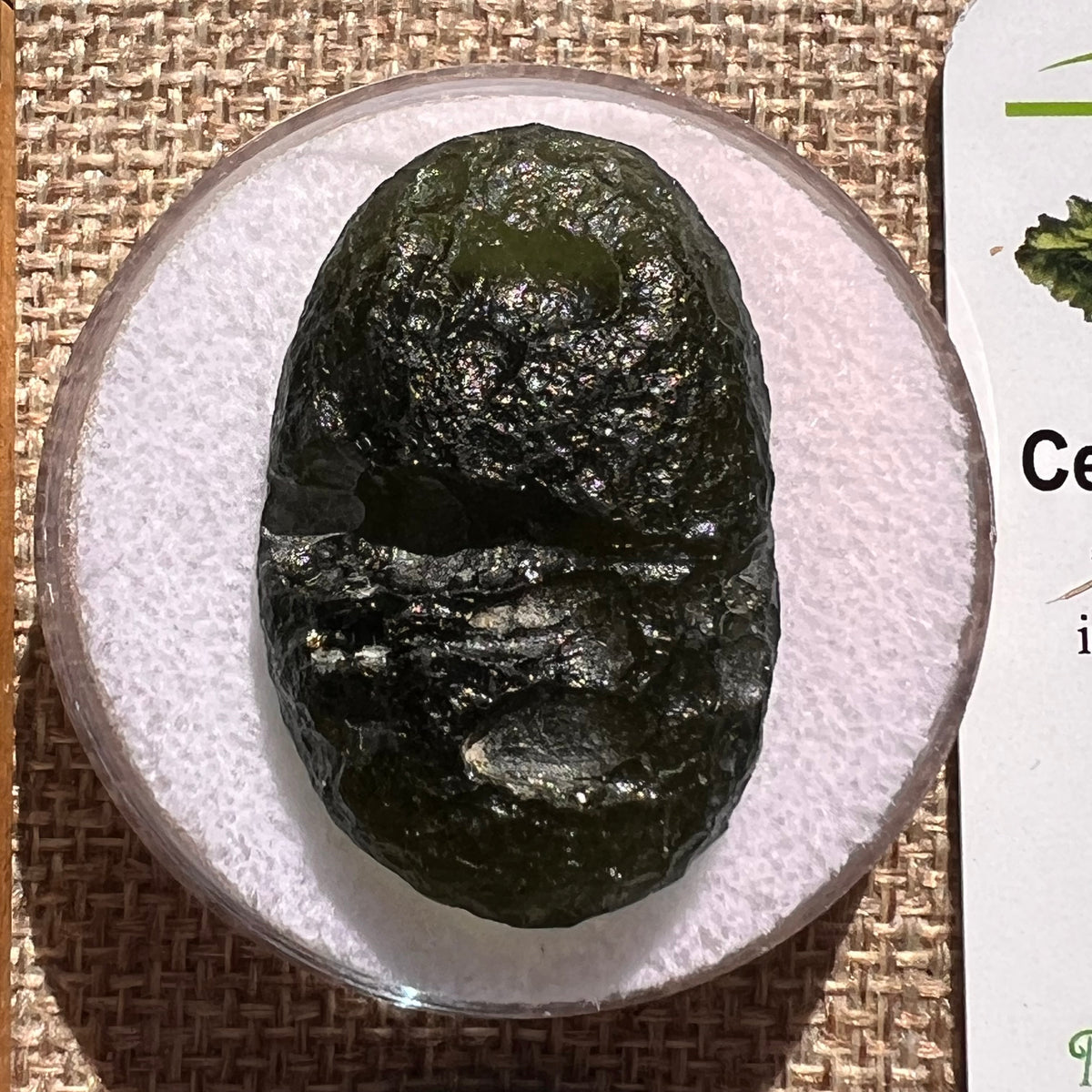 Moldavite 11.7 grams "Large Space Bean" shape #2403-Moldavite Life
