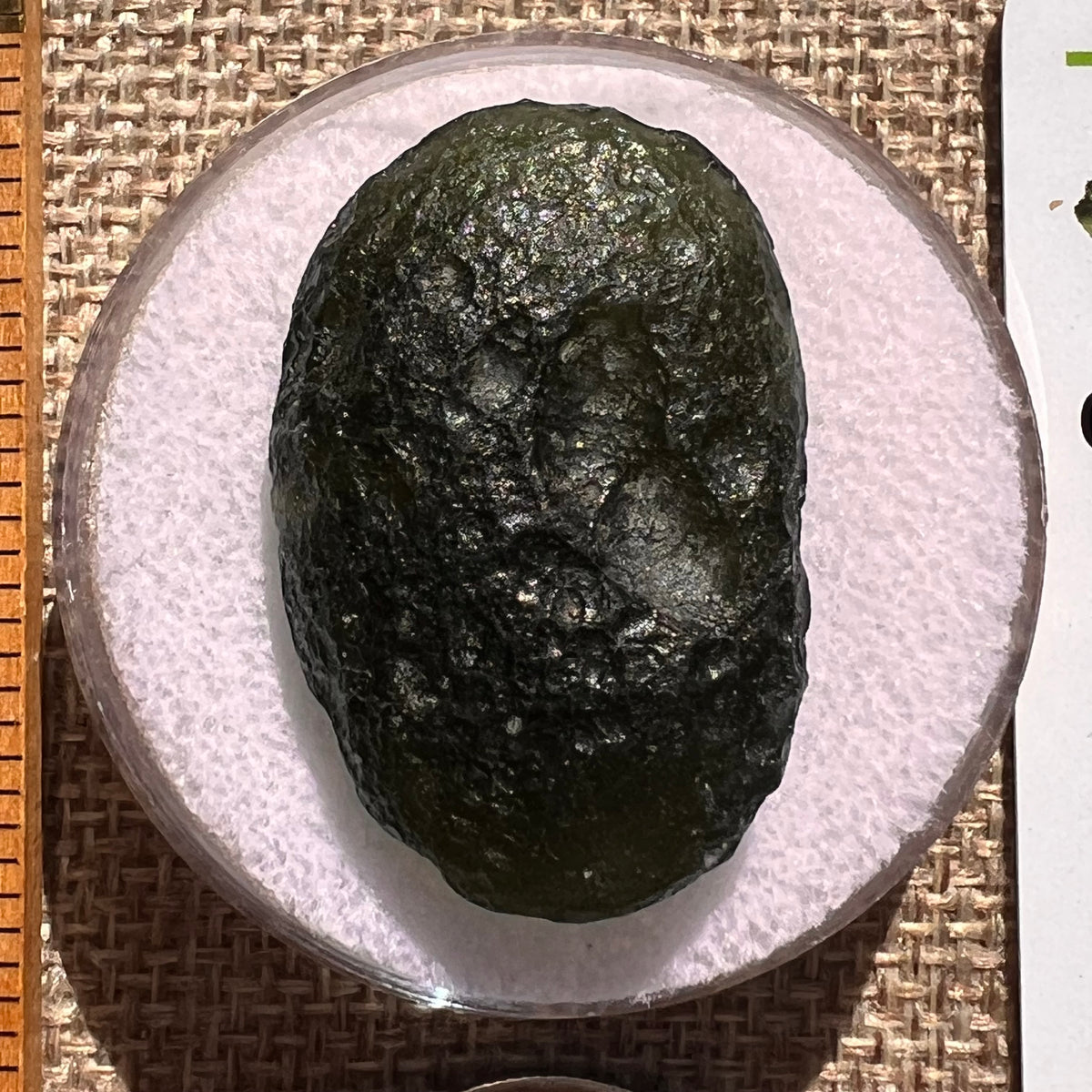 Moldavite 11.7 grams "Large Space Bean" shape #2403-Moldavite Life