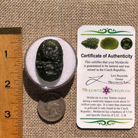 Moldavite 11.7 grams "Large Space Bean" shape #2403-Moldavite Life