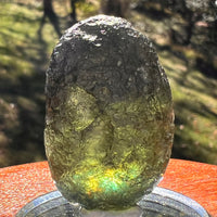 Moldavite 11.7 grams "Large Space Bean" shape #2403-Moldavite Life
