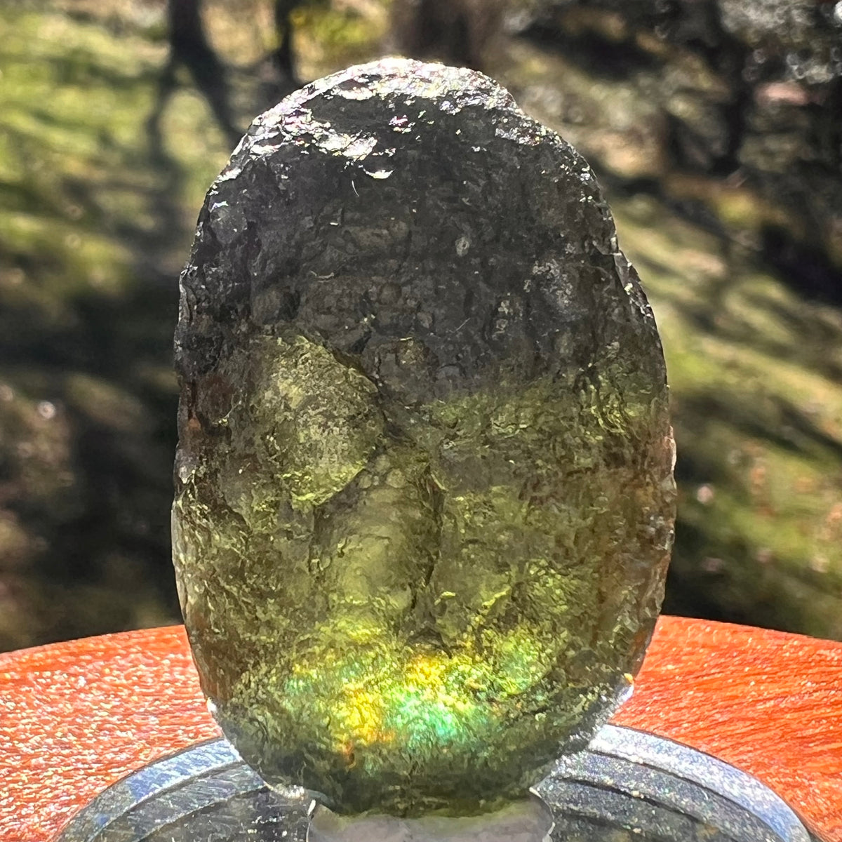 Moldavite 11.7 grams "Large Space Bean" shape #2403-Moldavite Life