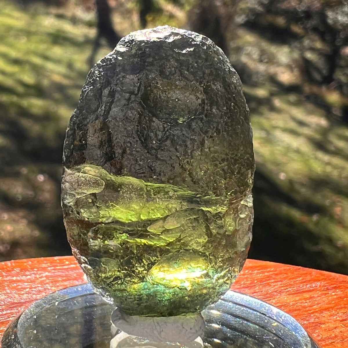 Moldavite 11.7 grams "Large Space Bean" shape #2403-Moldavite Life