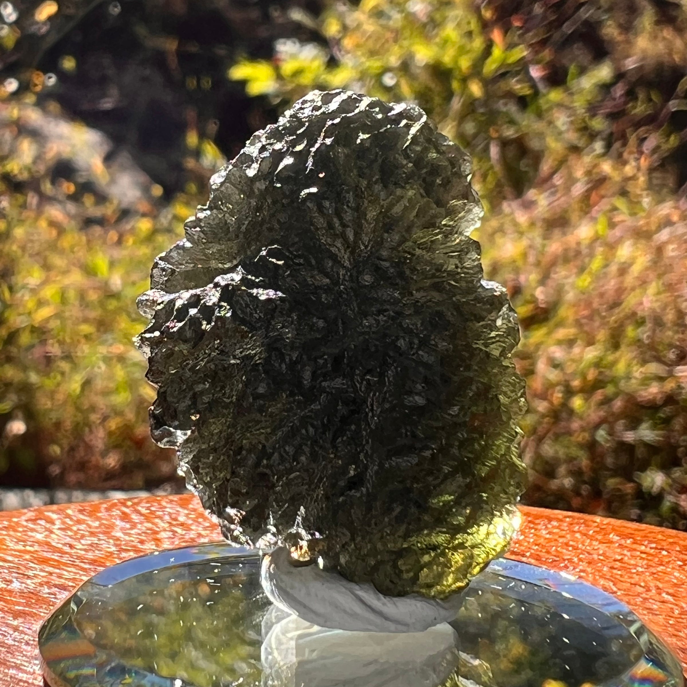 Moldavite 12.7 grams #2325-Moldavite Life