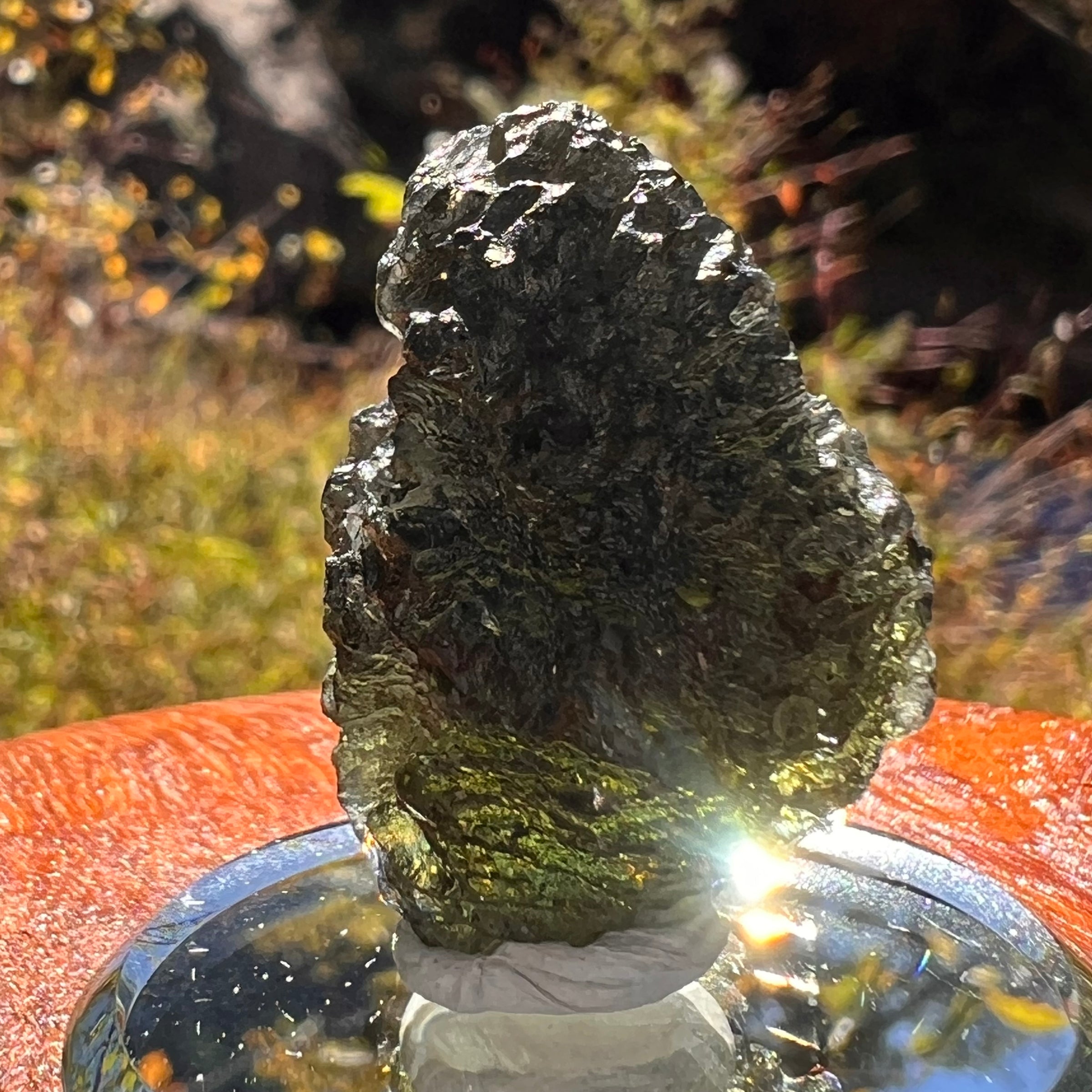 Moldavite 12.7 grams #2325-Moldavite Life