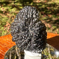 Moldavite 12.7 grams #2325-Moldavite Life