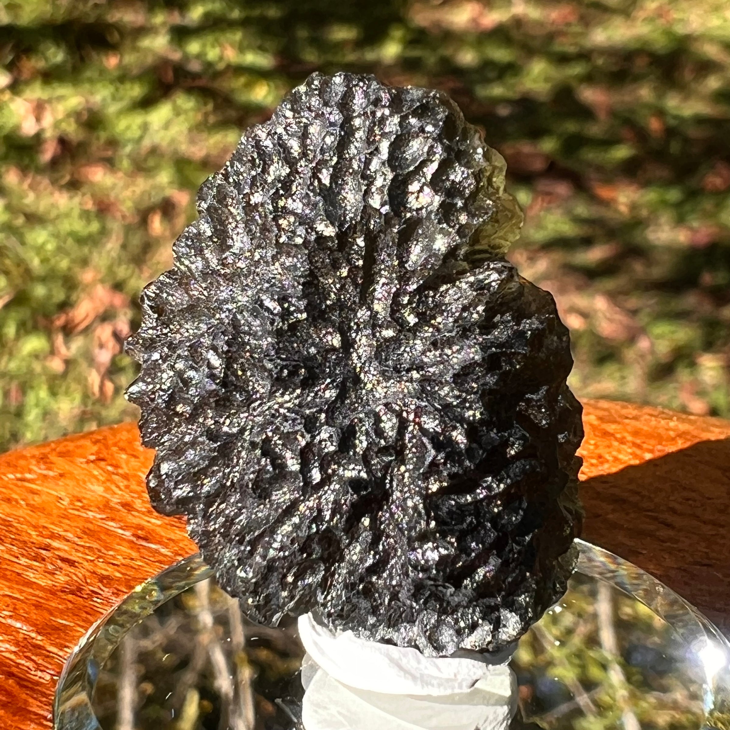 Moldavite 12.7 grams #2325-Moldavite Life