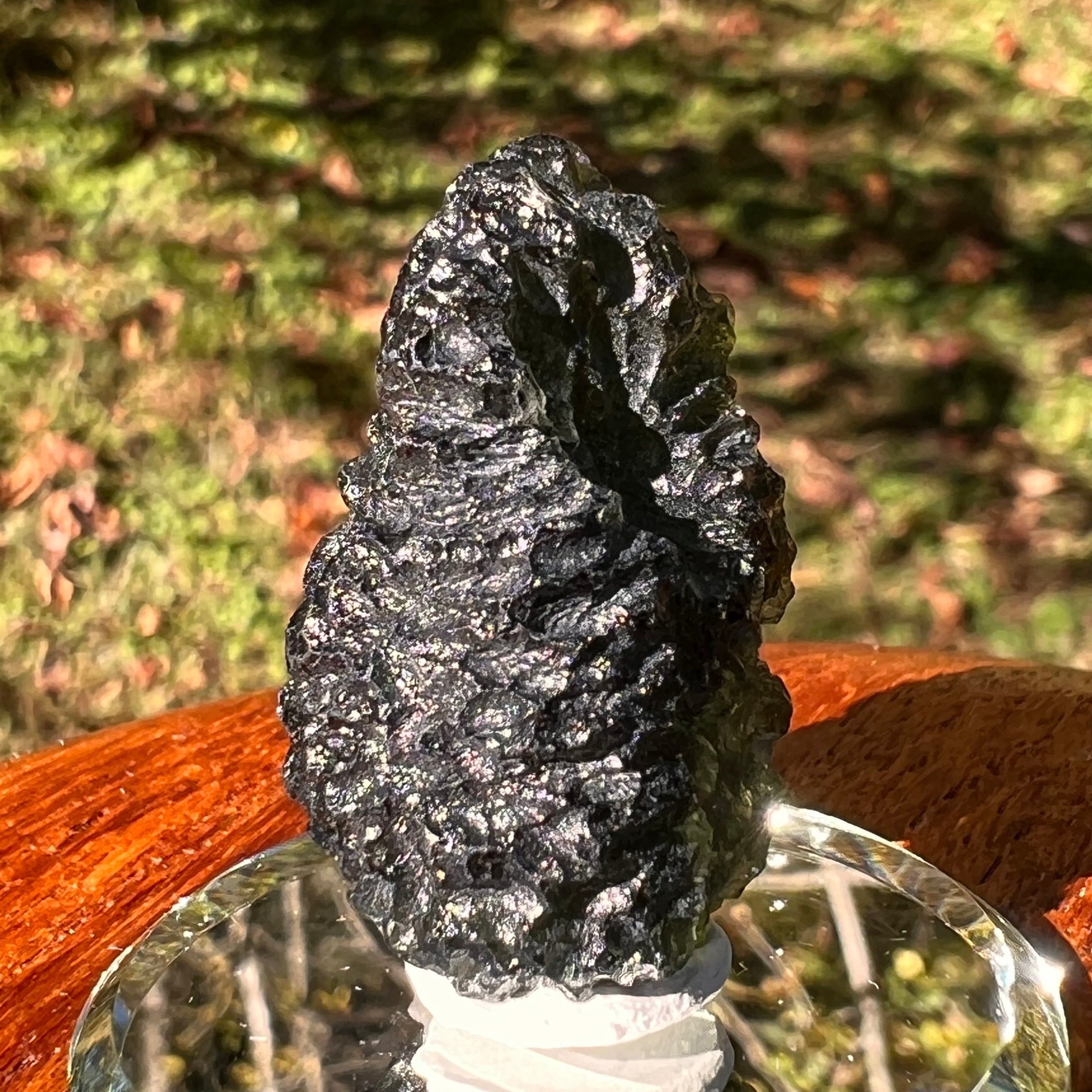 Moldavite 12.7 grams #2325-Moldavite Life