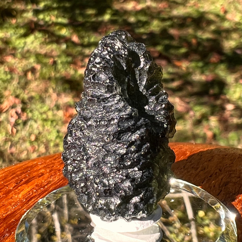 Moldavite 12.7 grams #2325-Moldavite Life