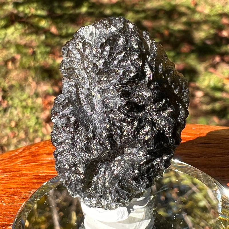 Moldavite 12.7 grams #2325-Moldavite Life