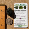 Moldavite 12.7 grams #2325-Moldavite Life