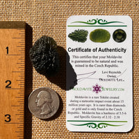 Moldavite 12.7 grams #2325-Moldavite Life