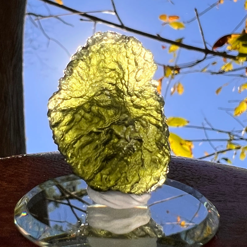 Moldavite 12.7 grams #2325-Moldavite Life