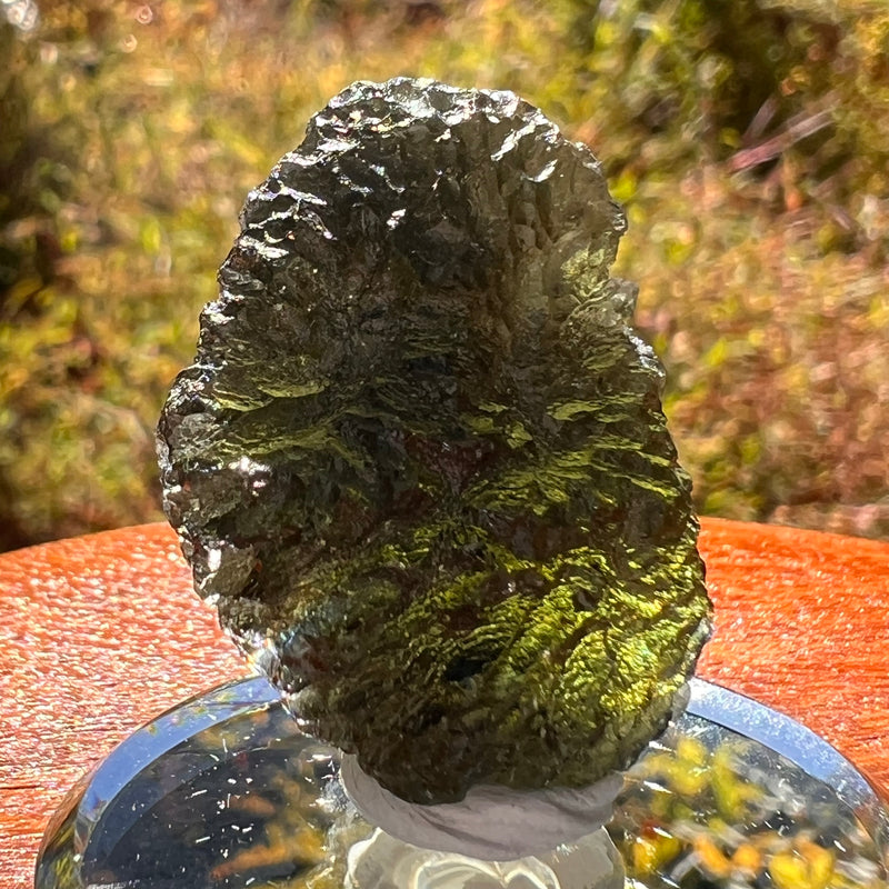 Moldavite 12.7 grams #2325-Moldavite Life