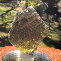 Moldavite 13.3 grams #2408-Moldavite Life