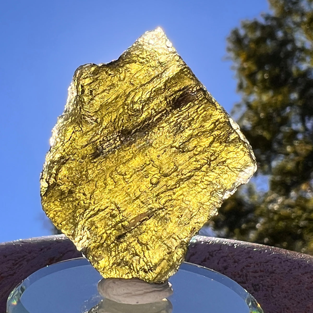 Moldavite 13.3 grams #2408-Moldavite Life