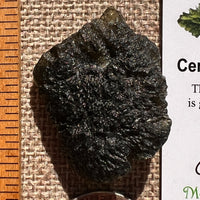Moldavite 13.3 grams #2408-Moldavite Life