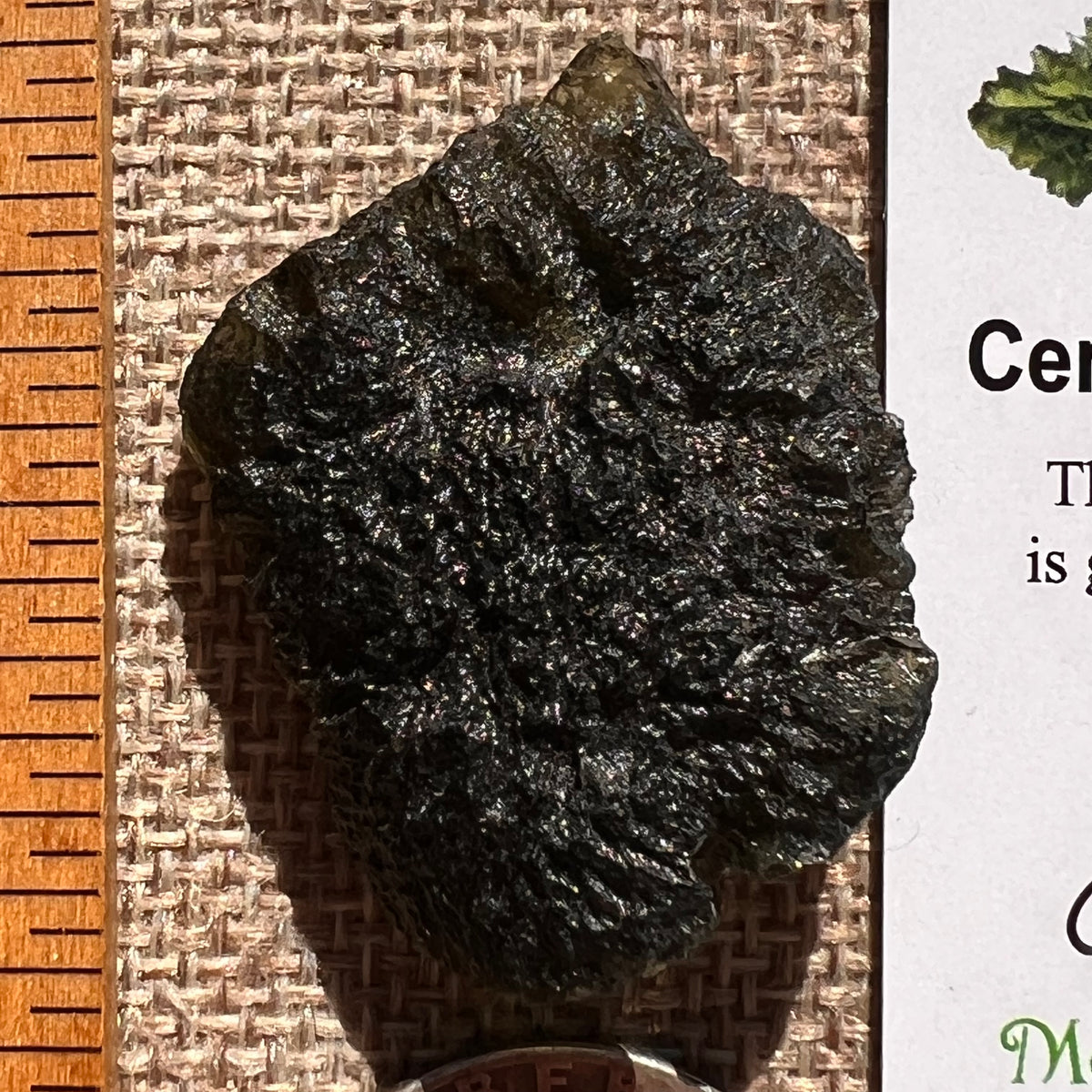 Moldavite 13.3 grams #2408-Moldavite Life
