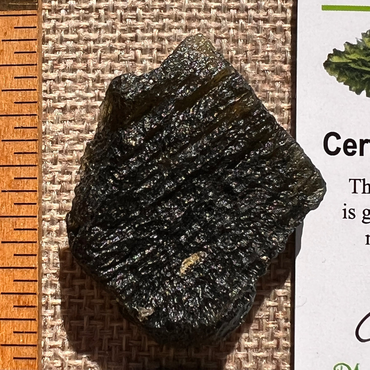 Moldavite 13.3 grams #2408-Moldavite Life