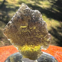 Moldavite 13.3 grams #2408-Moldavite Life