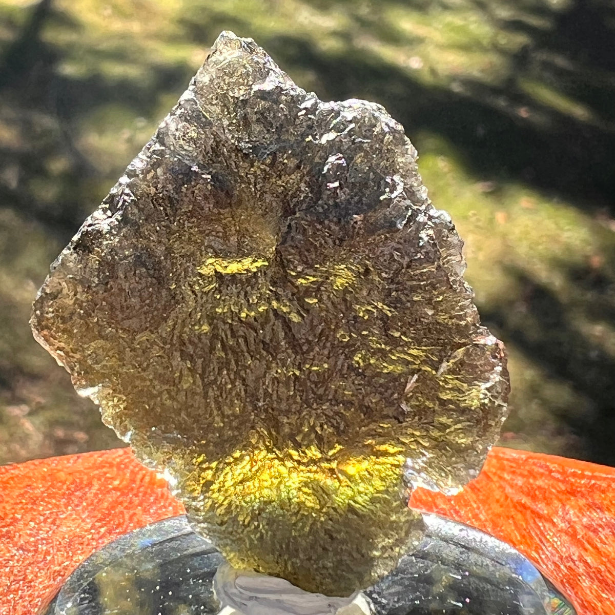 Moldavite 13.3 grams #2408-Moldavite Life