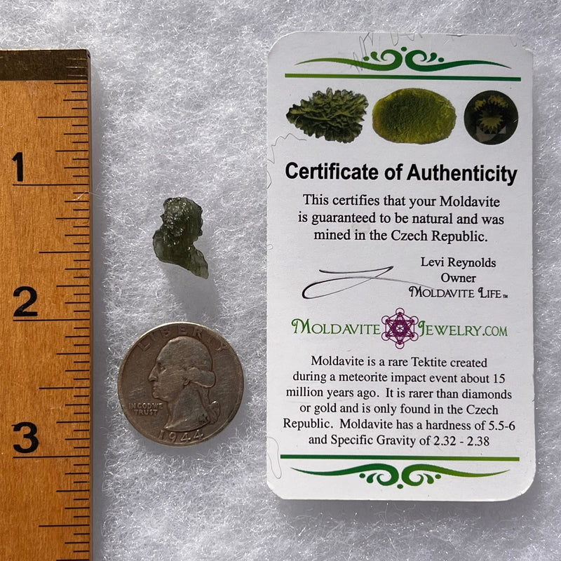 Moldavite 1.0 grams #1769-Moldavite Life