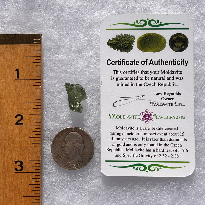 Moldavite 1.0 grams #1771-Moldavite Life