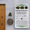 Moldavite 1.0 grams #1788-Moldavite Life